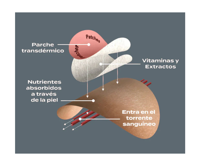 Parches GLP-1 para el control del apetito y el metabolismo.